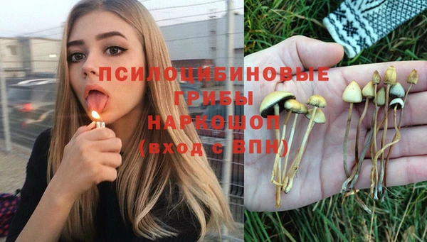 прущая мука Балахна